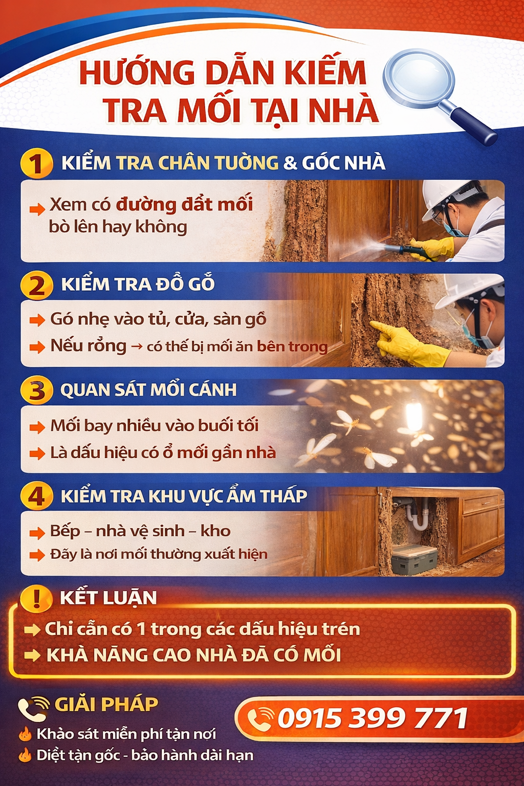 tác hại của mối và cách nhận biết